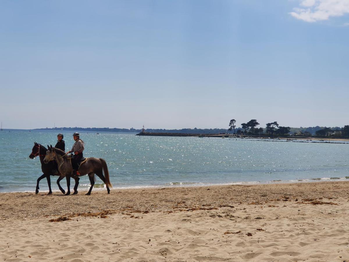 Vacances O Loch - Studio A 200 Metres De La Plage - Le Cap Coz Fouesnant Exterior photo
